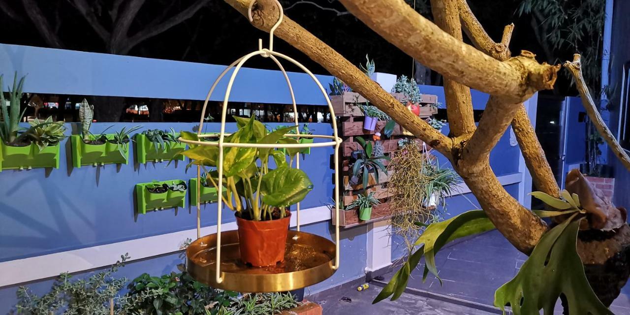 Oneriimba Private Pool & Garden Residence Johor Bahru Ngoại thất bức ảnh